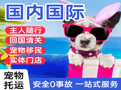 奇台江空运代理国际宠物托运 【国